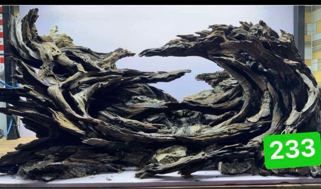 TTD 【⭐︎ ❤️❤️様⭐︎】【美品・数量限定】