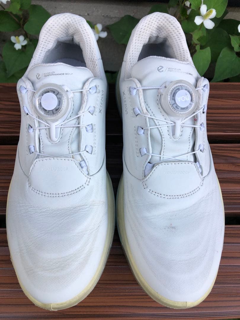 341番 美品 Ecco ゴルフシューズ 37 23.5cmスパイクレス