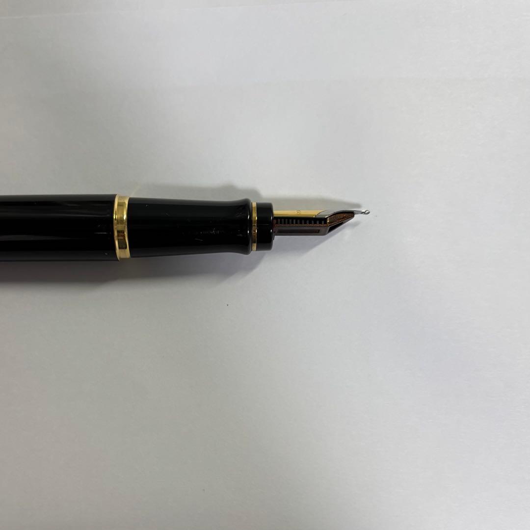 WATERMAN 万年筆 エキスパート エッセンシャル ブラックGT M（中字）
