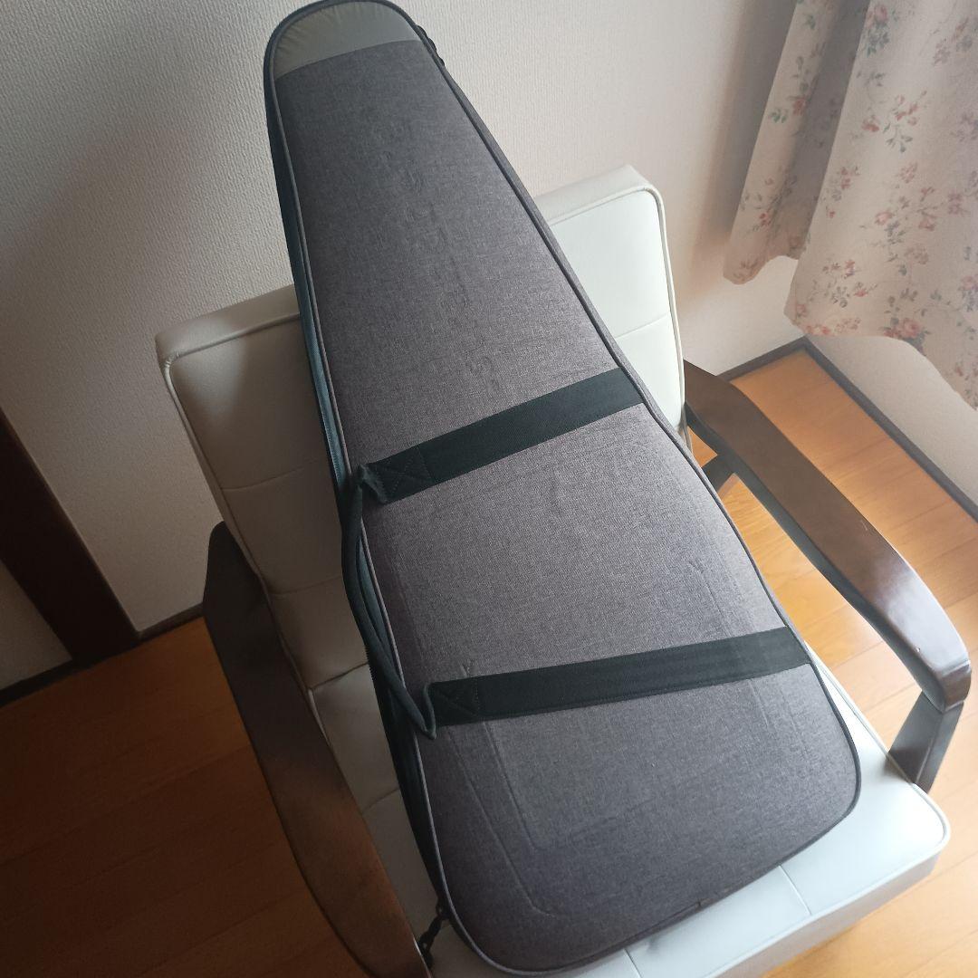 ギター .strandberg* Salen Classic