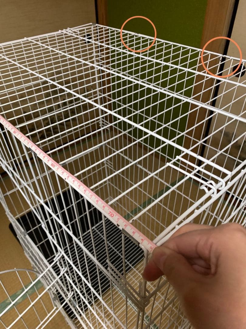 あずき　 大型ゲージ　お掃除簡単　チンチラ　ゲージ　小動物