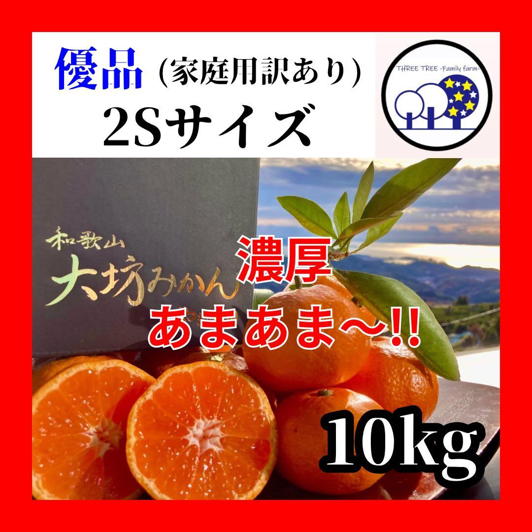 ③温州みかん 樹熟大坊みかん 優品(家庭用傷あり)2Sサイズ10kg