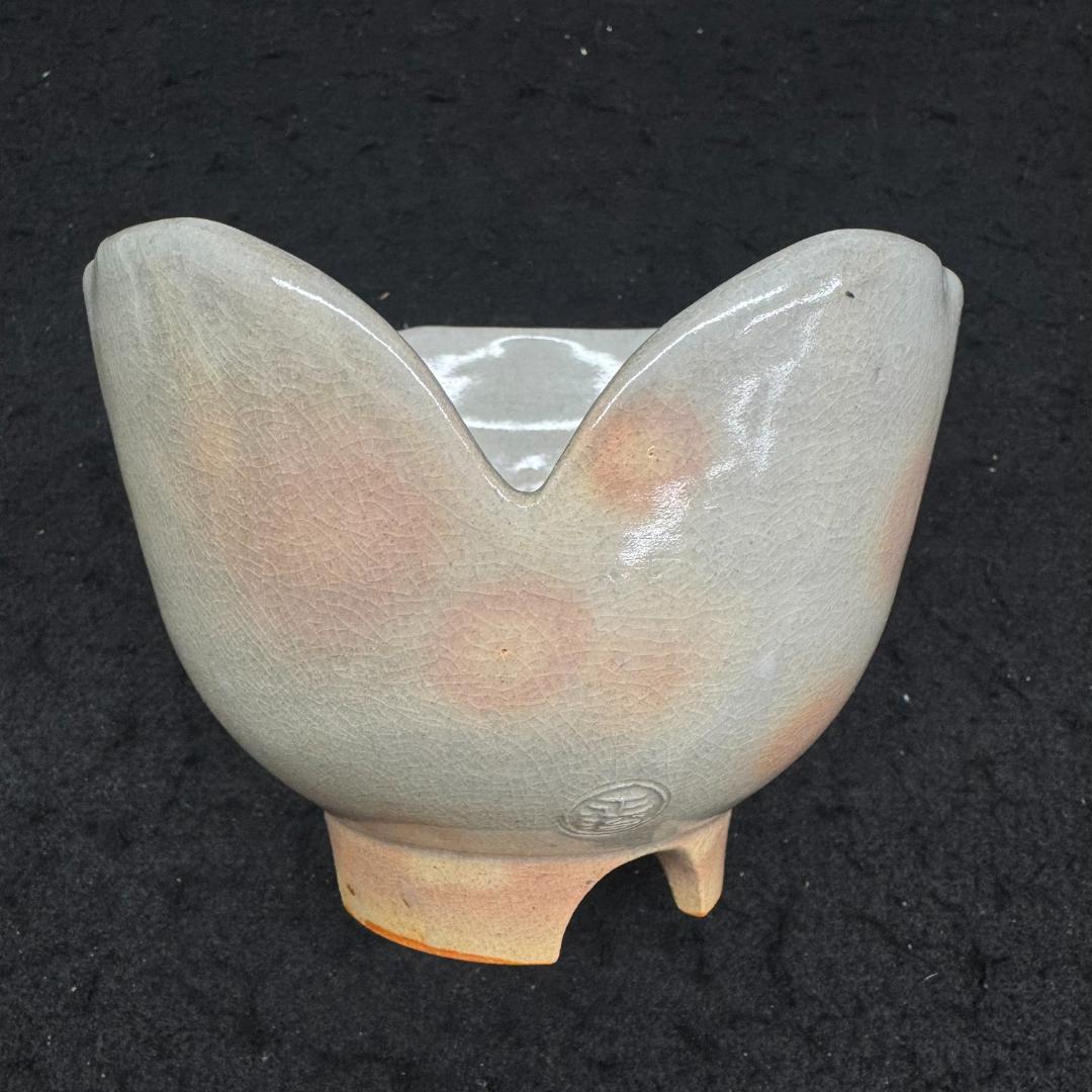 萩焼　十五代坂倉新兵衛造 訪割山椒向附　６客　茶道具　共箱、共布