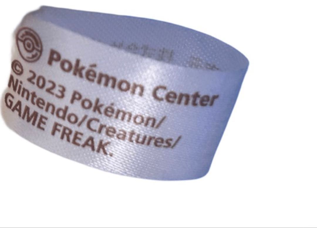 バレンタインピカチュウ　ぬいぐるみ　2023年　モロゾフ　ポケモンセンター限定