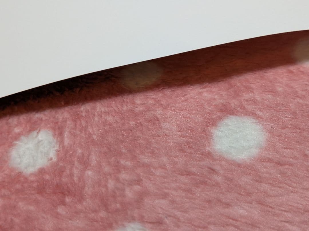 【レア・シークレット】一軍男子は恋してる　ランダムブロマイド　文化祭編