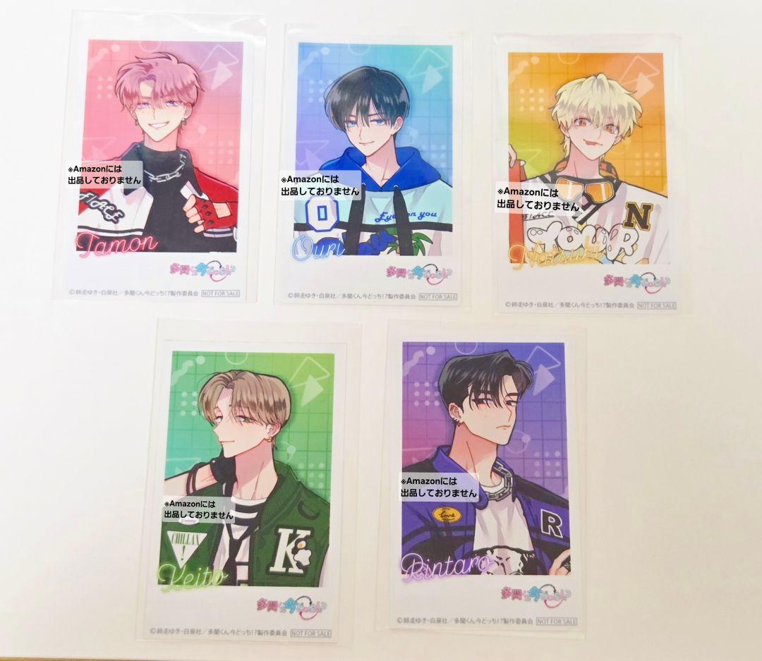 多聞くん今どっち!? CD 特典 アニメイト ミニフォトカード コンプリート