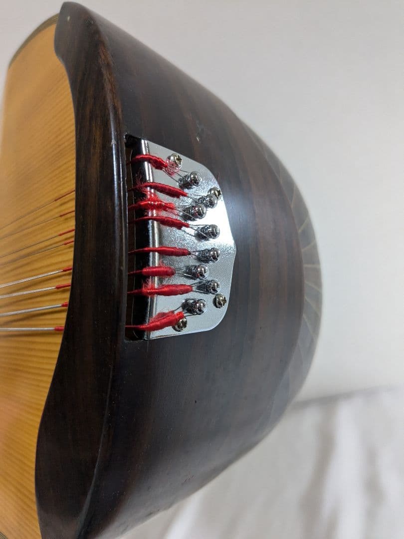 藤丸常夫 マンドリン ハードケース付き