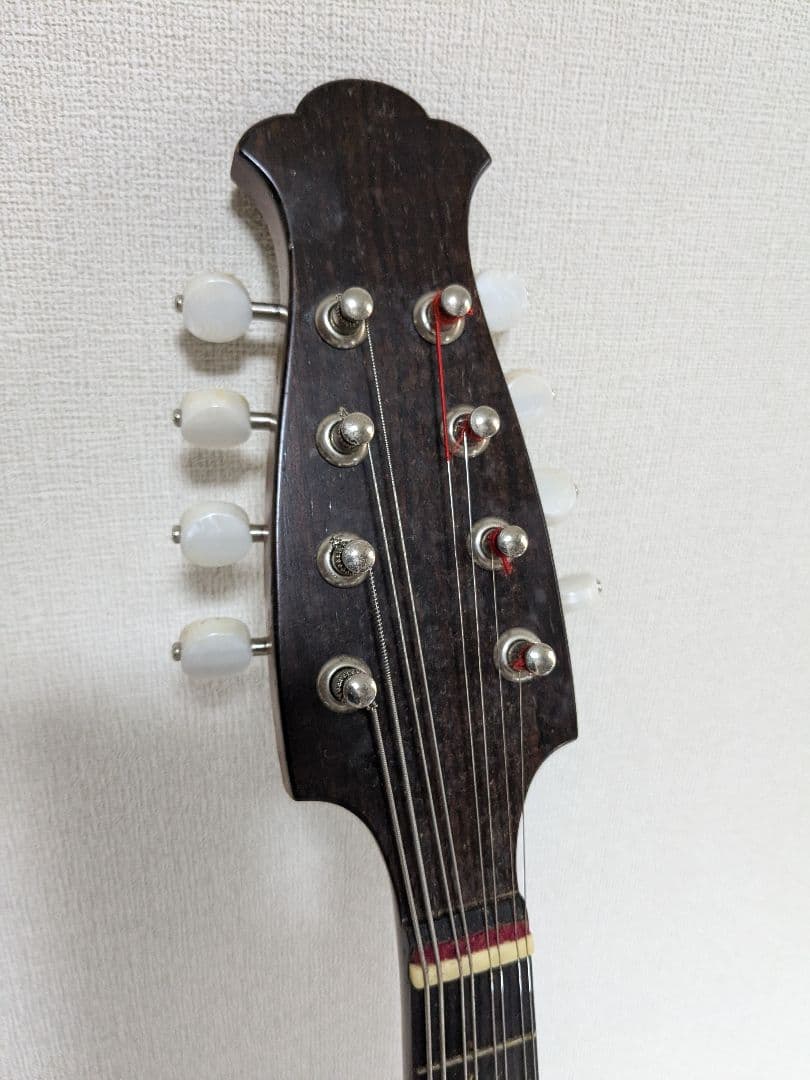 藤丸常夫 マンドリン ハードケース付き