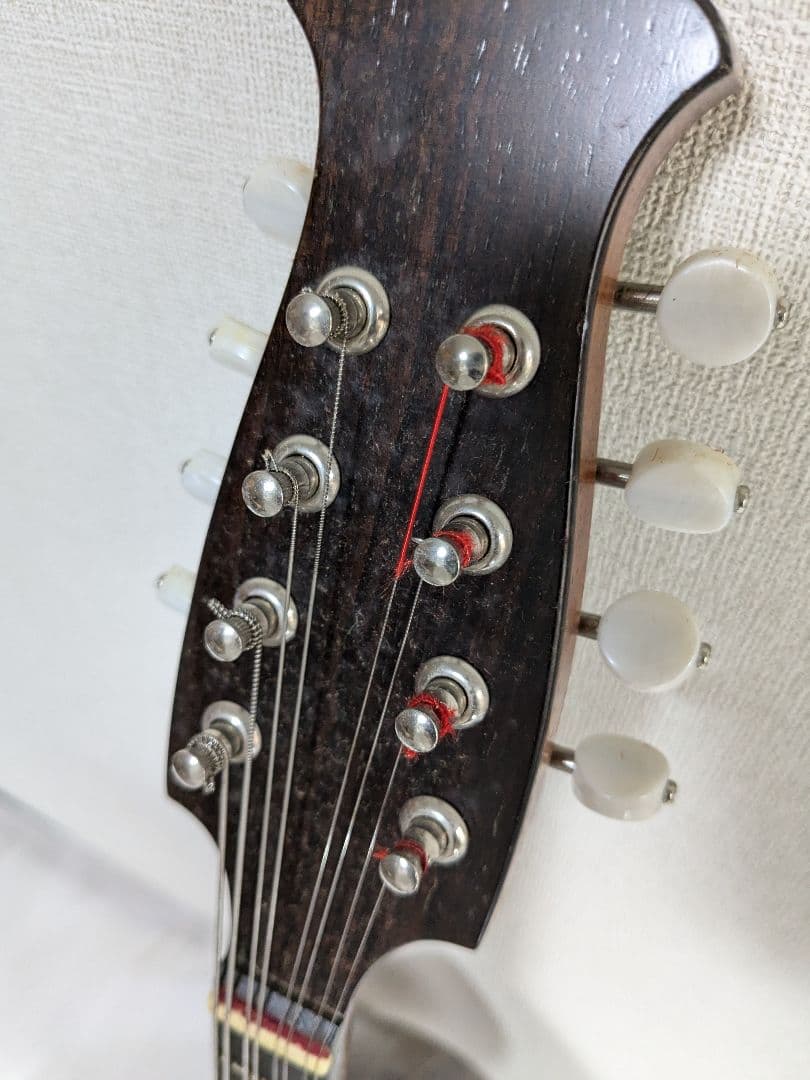 藤丸常夫 マンドリン ハードケース付き