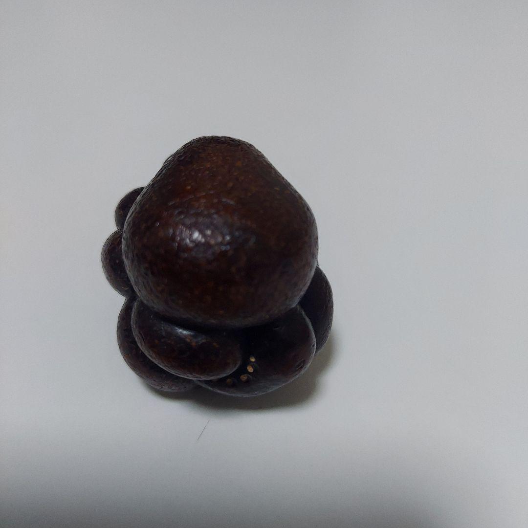 根付　蛸　タコ　現代根付