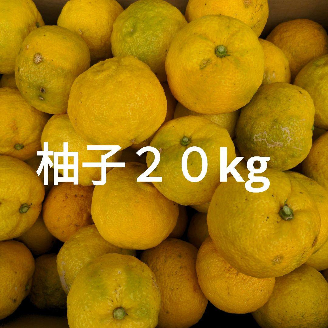 ゆず２０kg。鍋料理、水炊き、ポン酢、ゆず胡椒、ゆず味噌、柚子ジャム、ゆず湯