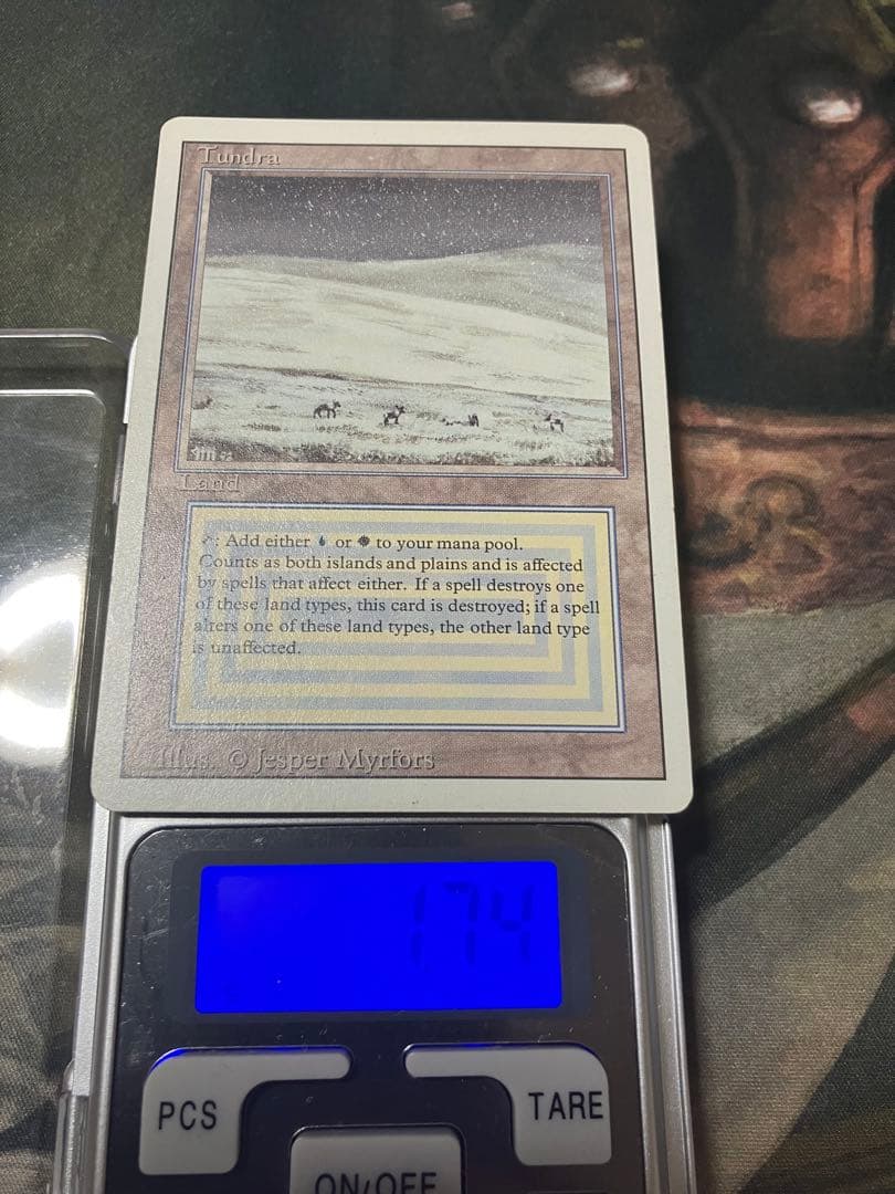 マジック：ザ・ギャザリング Tundra mtg