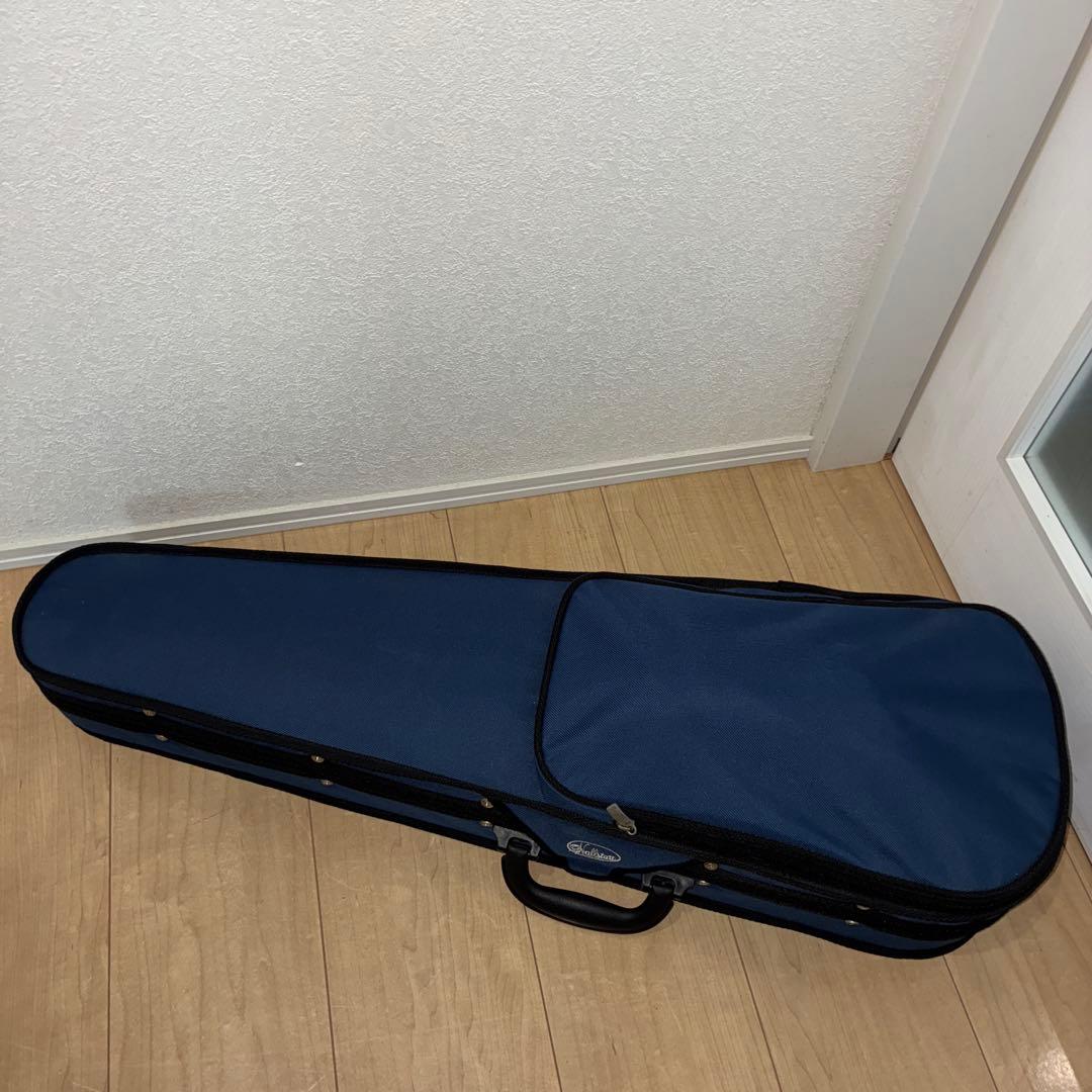 美品hallstatt EV-30 cv-210e エレキバイオリン　ブラック