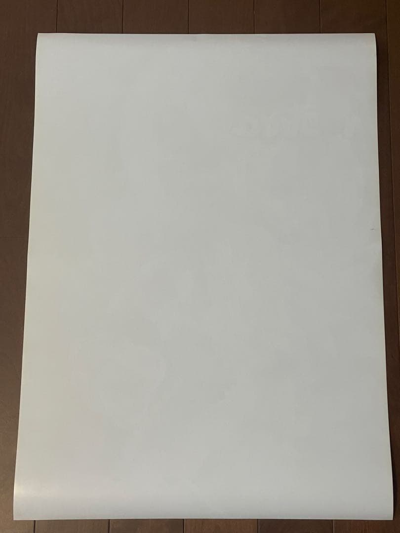 ドラゴンボールZ 映画ポスター 95夏 東映アニメフェア 龍拳爆発‼︎ 劇場用