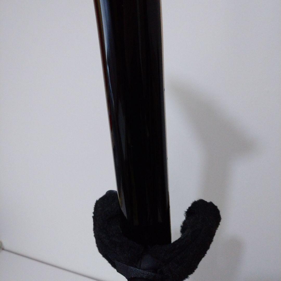 FERNANDES TEJ STD-2S 19 BLK 不定期出品