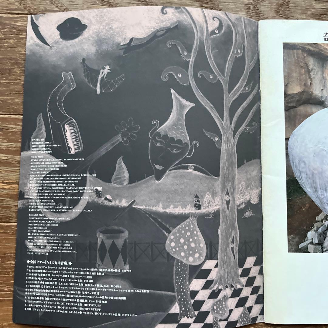 たま ツアー パンフレット たまの方向音痴 チラシ付き 知久寿焼 柳原 イカ天