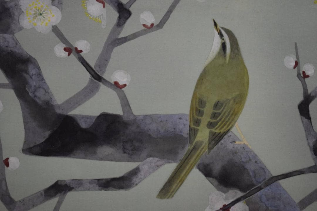 真作/新山晃司/紅白梅鴬図/桐共箱二重箱付/布袋屋掛軸HF-985