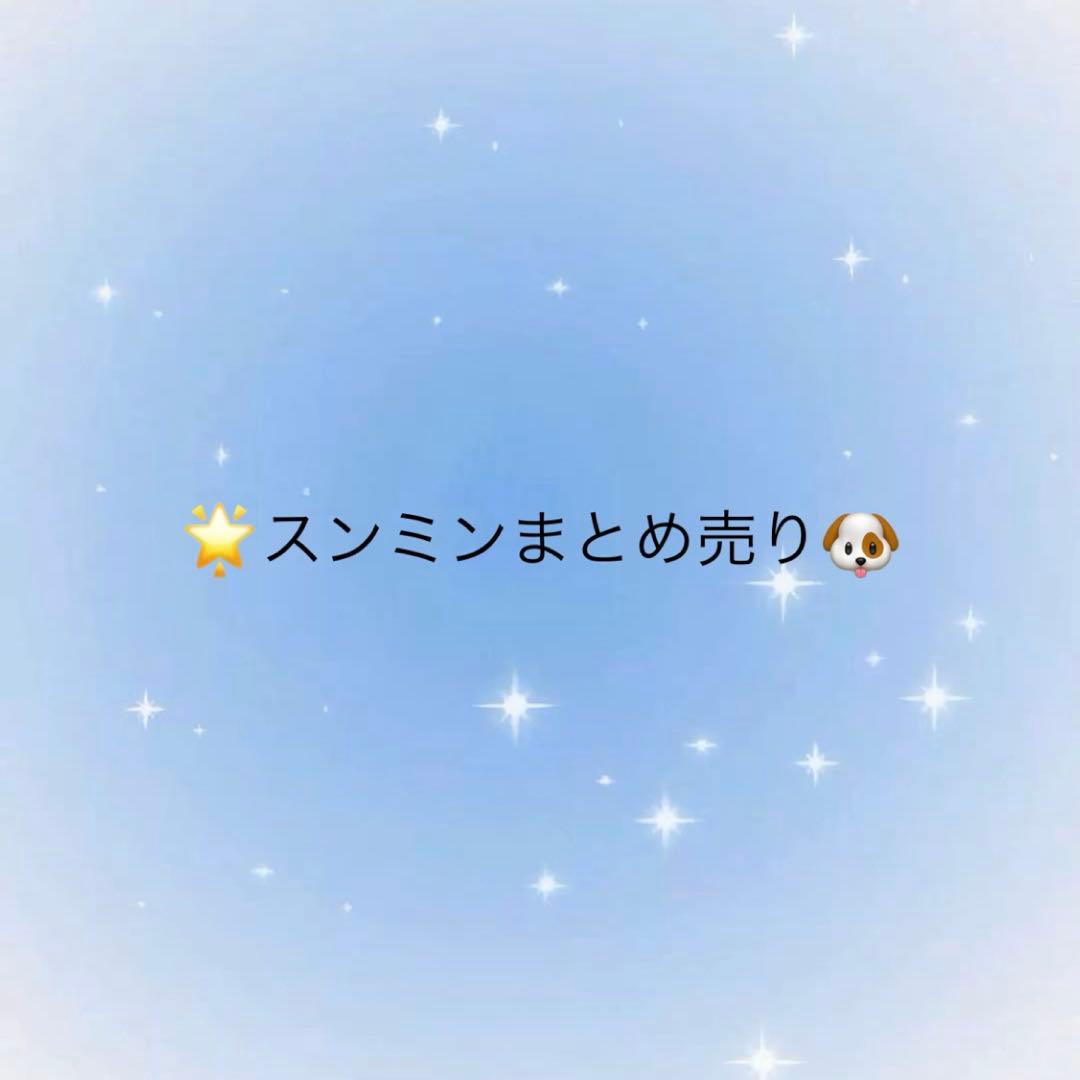 straykids スンミン まとめ売り