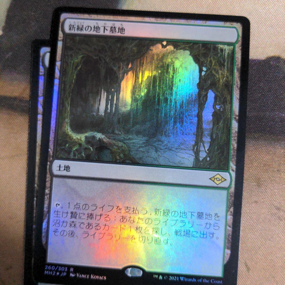 MTG　新緑の地下墓地/Verdant Catacombs　Foil　4枚
