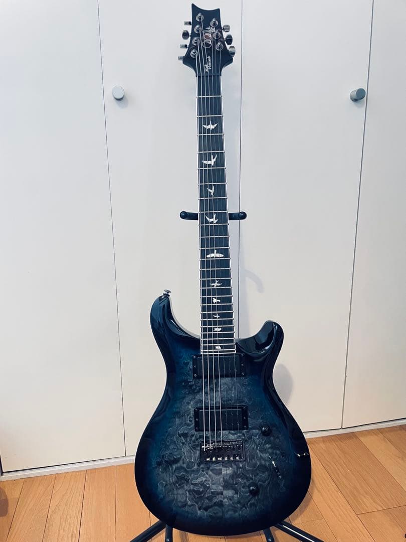 ギター SE MARK HOLCOMB SVN