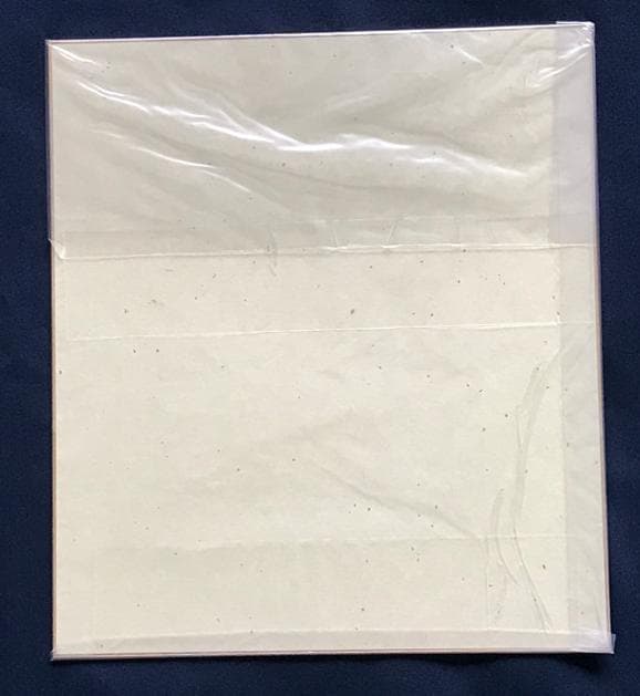 ☆ZARD 坂井泉水さん　歌手デビュー前　直筆「色紙」