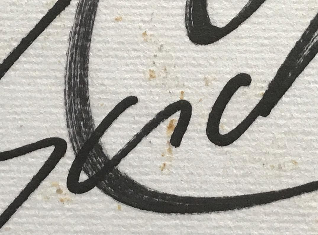 ☆ZARD 坂井泉水さん　歌手デビュー前　直筆「色紙」