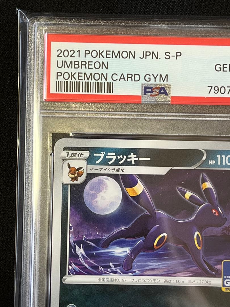 ポケモンカード　ブラッキー　ジムプロモ　psa10 #3