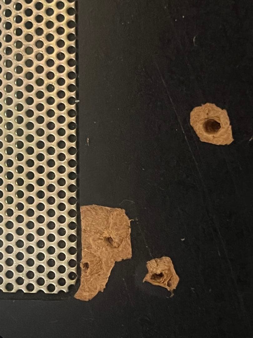 ロデオ　オオガメラ　実機　4号機