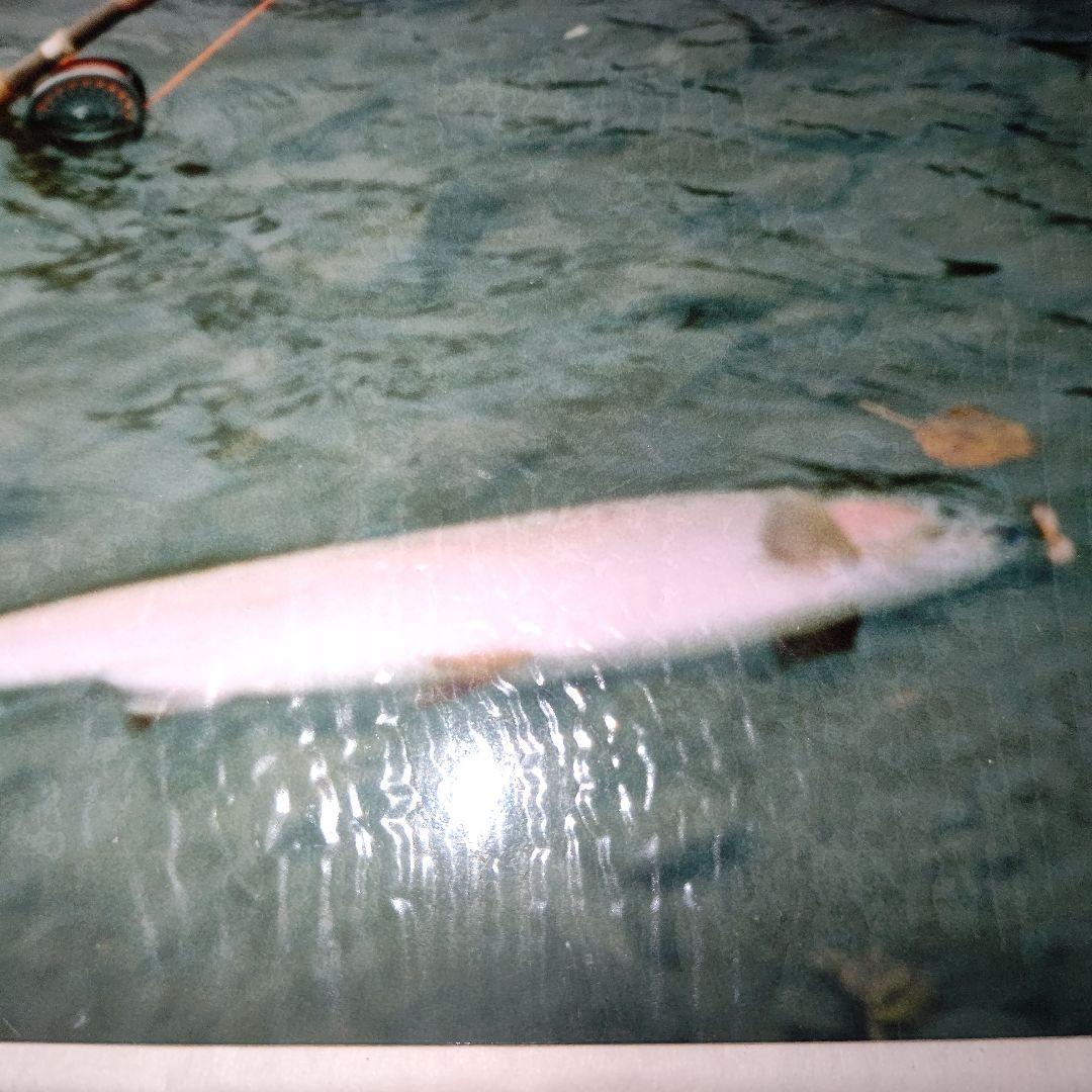 ハーディー✨ソブリントラベルフライロッド4ピース