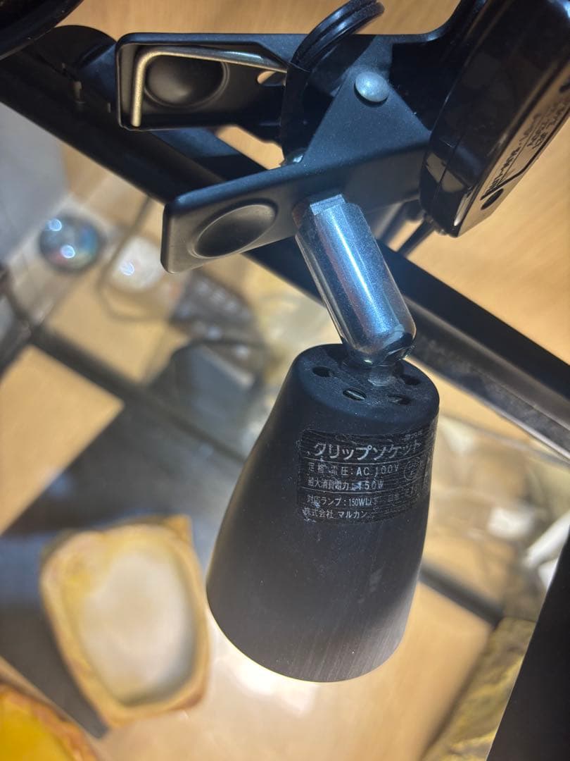 爬虫類飼育セット グラステラリウム6030＋ライト・食器類付き