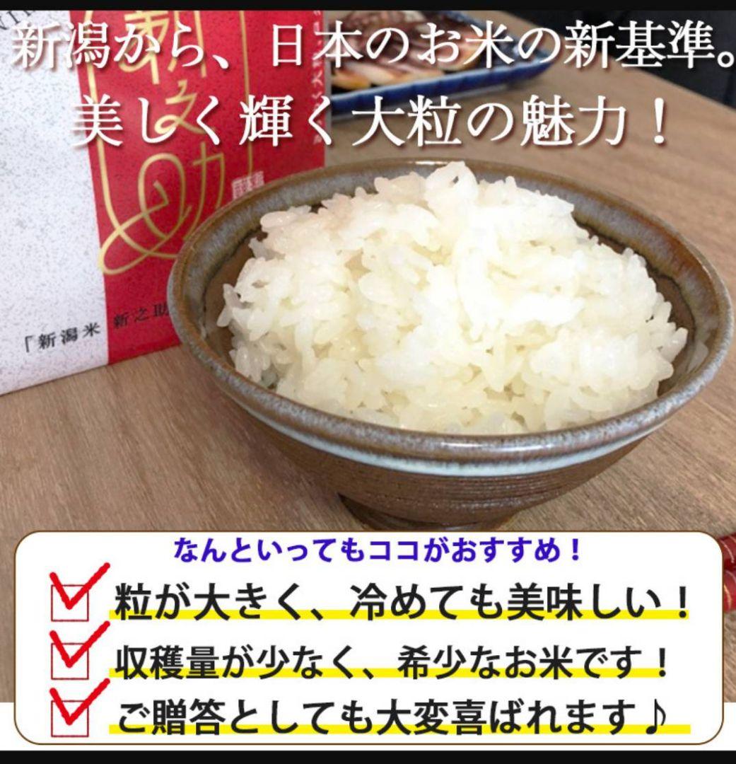新之助米　10kg(5kg×2袋)