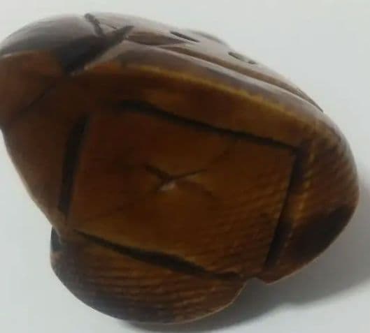 江戸根付 骨董 ２種 天然素材 在銘