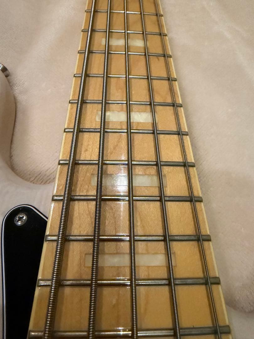 5弦ベース ナチュラルカラー フジゲン
