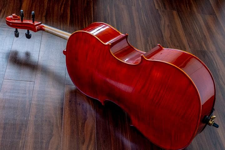 Rani スズキ 4/4サイズ チェロ/弓セット