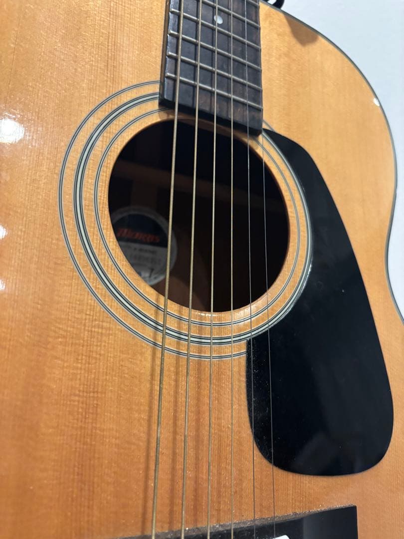 Morris F-01 Ⅱ NAT 比較的綺麗