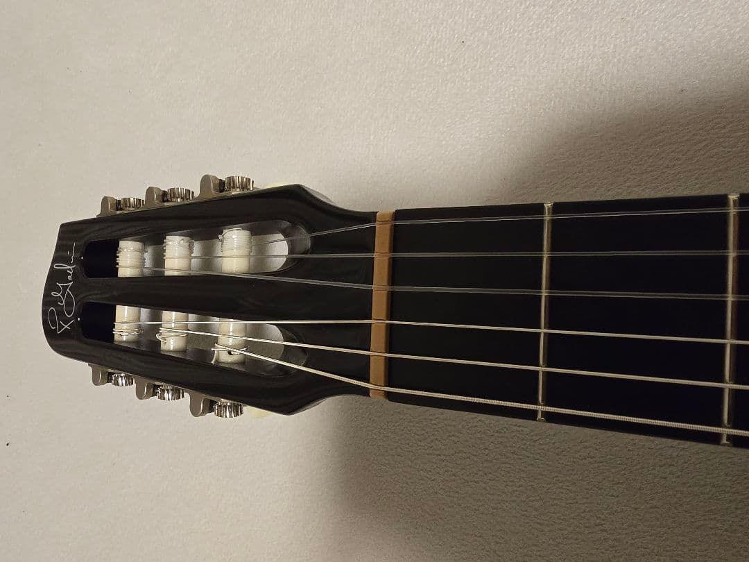 ギター Godin black knight ec