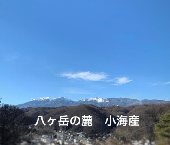 高原紫花豆 2kg 2025年産 長野県八ヶ岳麓産　自家製