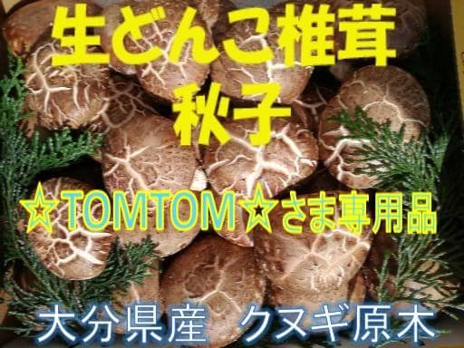 ☆TOMTOM☆さまご予約専用 大分県特産 生どんこ椎茸「秋子」ダブル