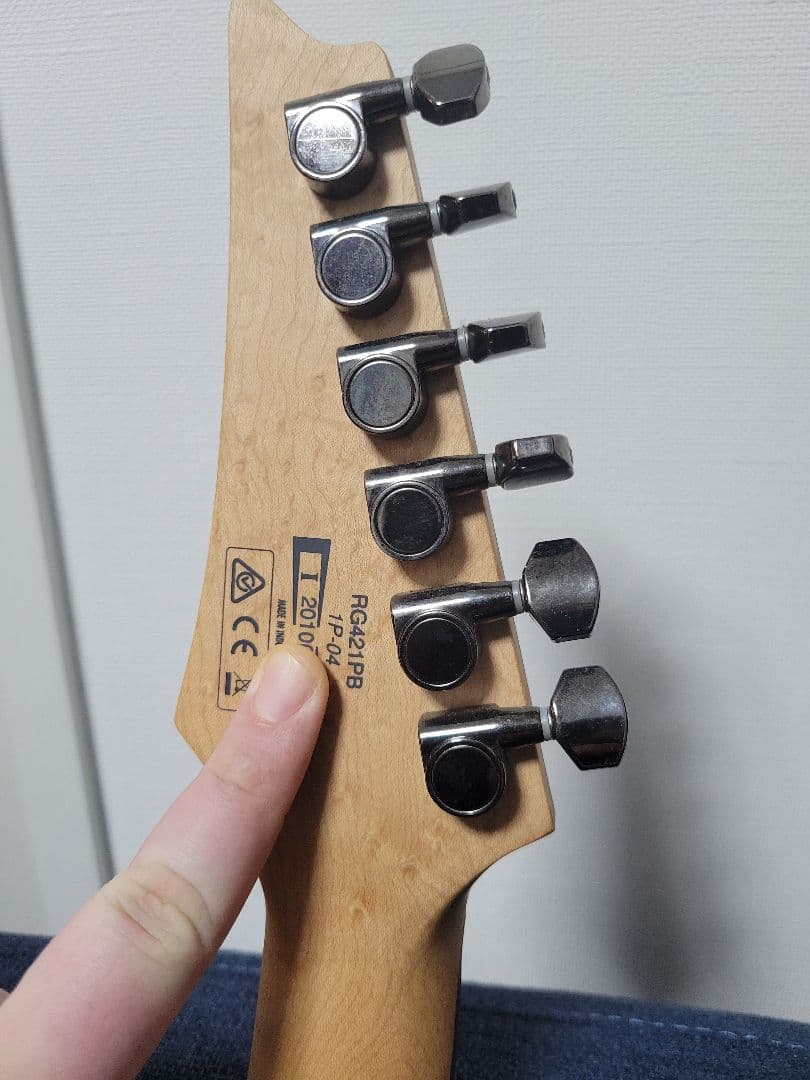 アイバニーズ　Ibanez RG421PB　動作品　おまけ盛り沢山