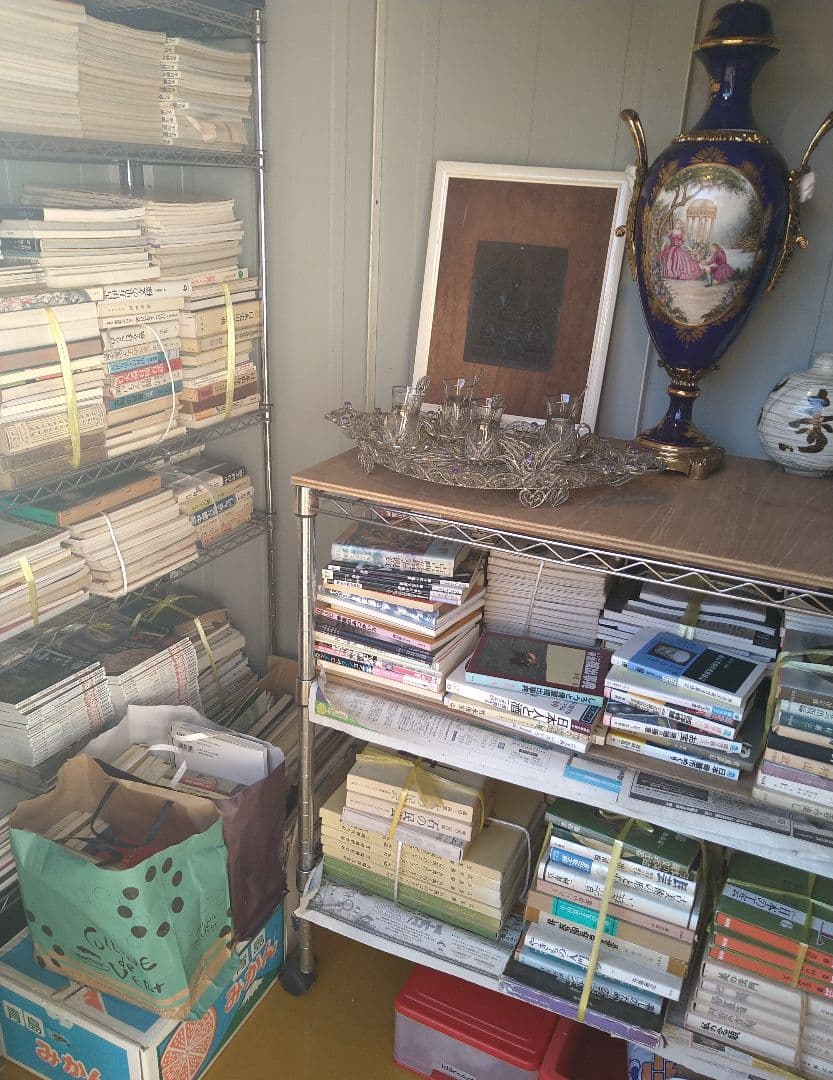 江戸前期寛文古伊万里芙蓉手花鳥兜皿R5-1