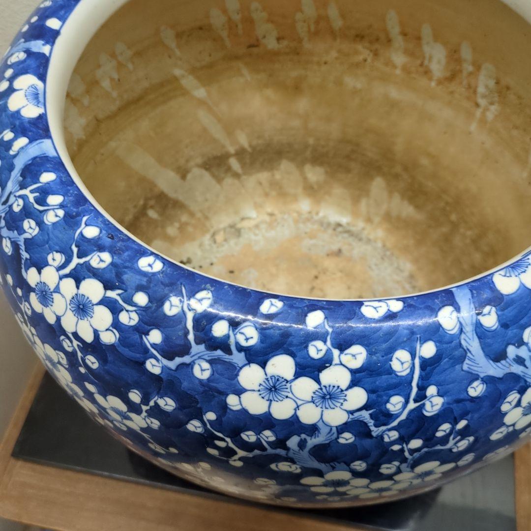 骨董　火鉢　梅の図　松竹梅　鉢カバー　睡蓮鉢　金魚　めだか