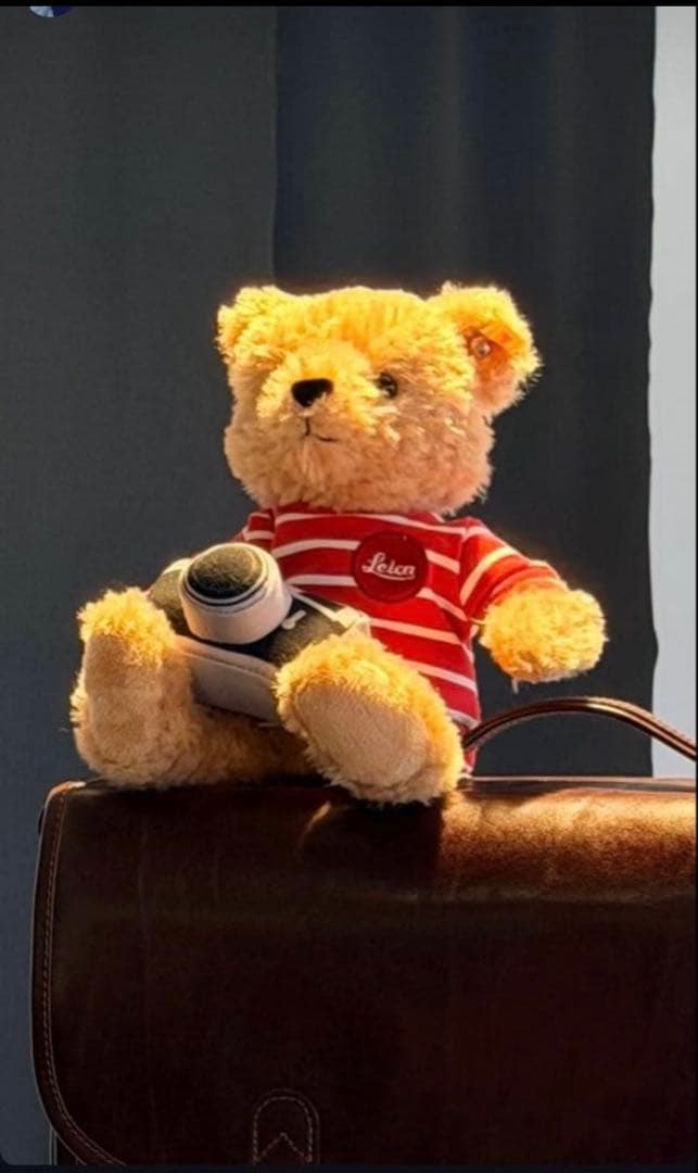 1週間限定価格 大森元貴さんインスタ掲載品 シュタイフ×ライカ Cuddle