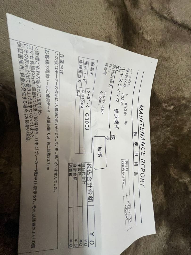 ダイワ　シーボーグ300G300J