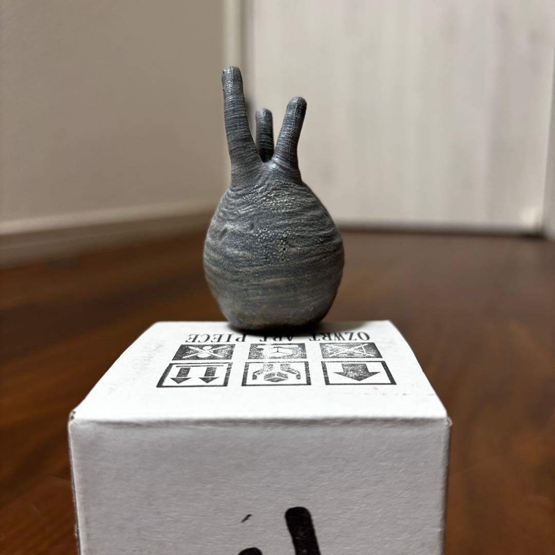 OZWRT TheCaudexMan pachypodiuman ssサイズ