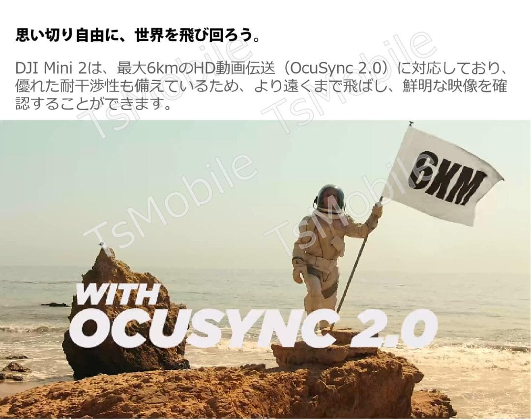 DJI Mavic Mini2 マビック ミニ2 小型 DJI 4Kカメラ付き
