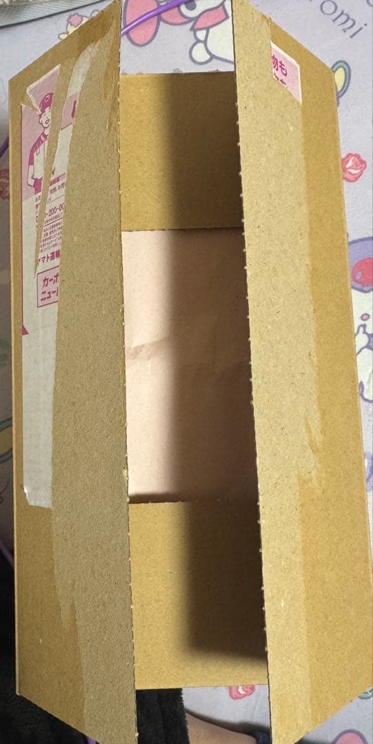 スカーレット＆バイオレット スペシャルボックス ポケモンセンターヒロシマ