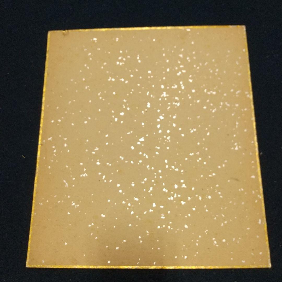 小説家画家 武者小路実篤 肉筆色紙 柚子？