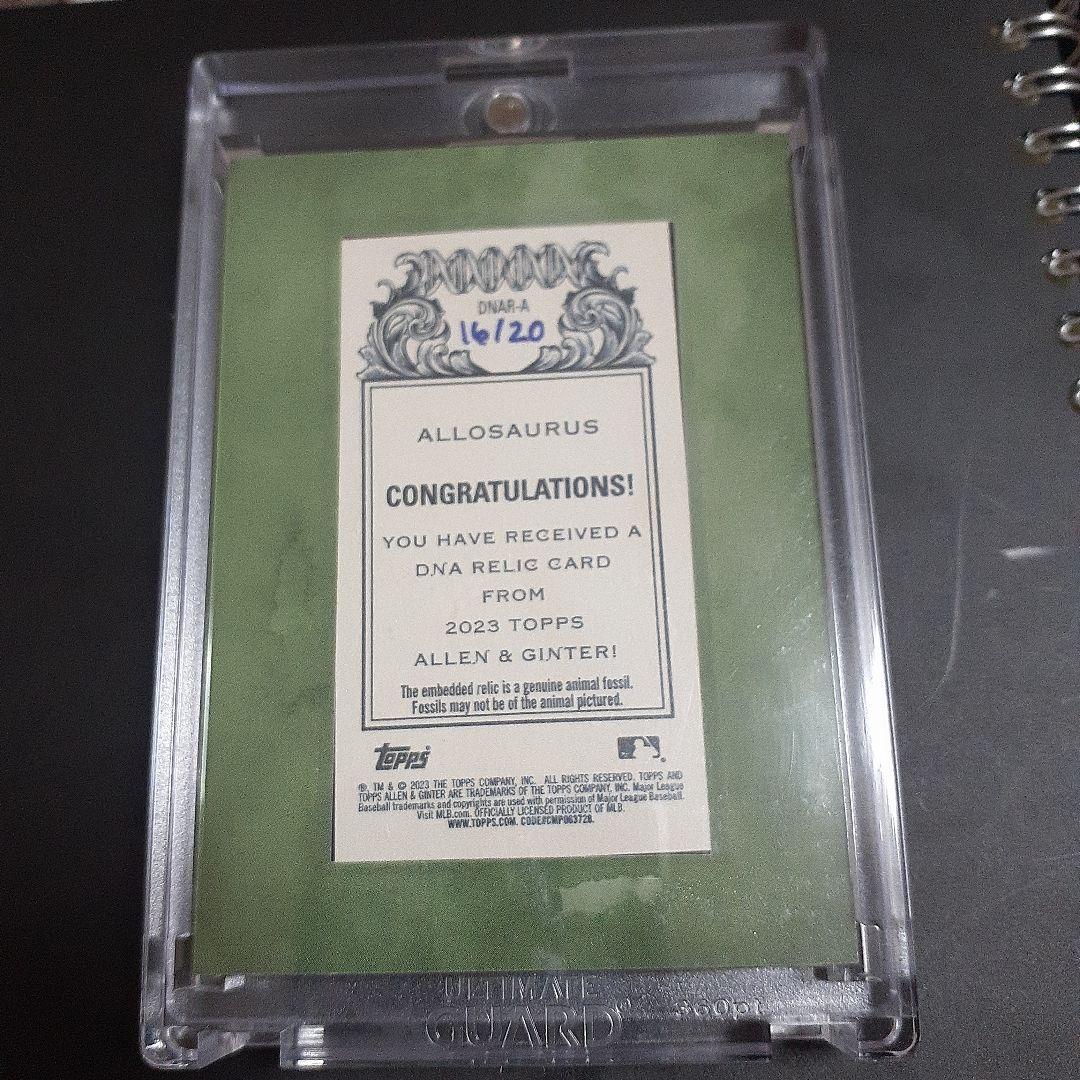 allen & ginter dna relic 化石 allosaurus