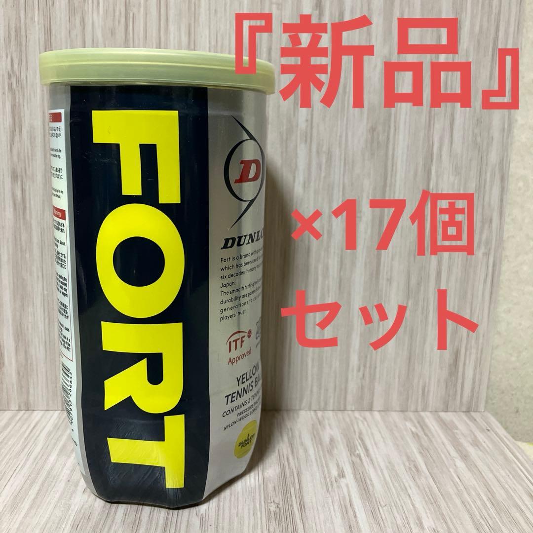 『新品』ダンロップ　フォート硬式テニスボール17個セット