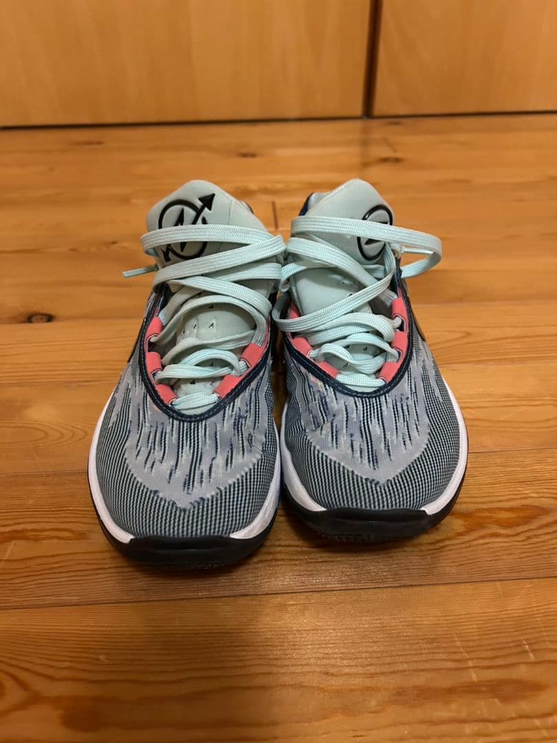 Nike バスケット　GTカット2　25.5